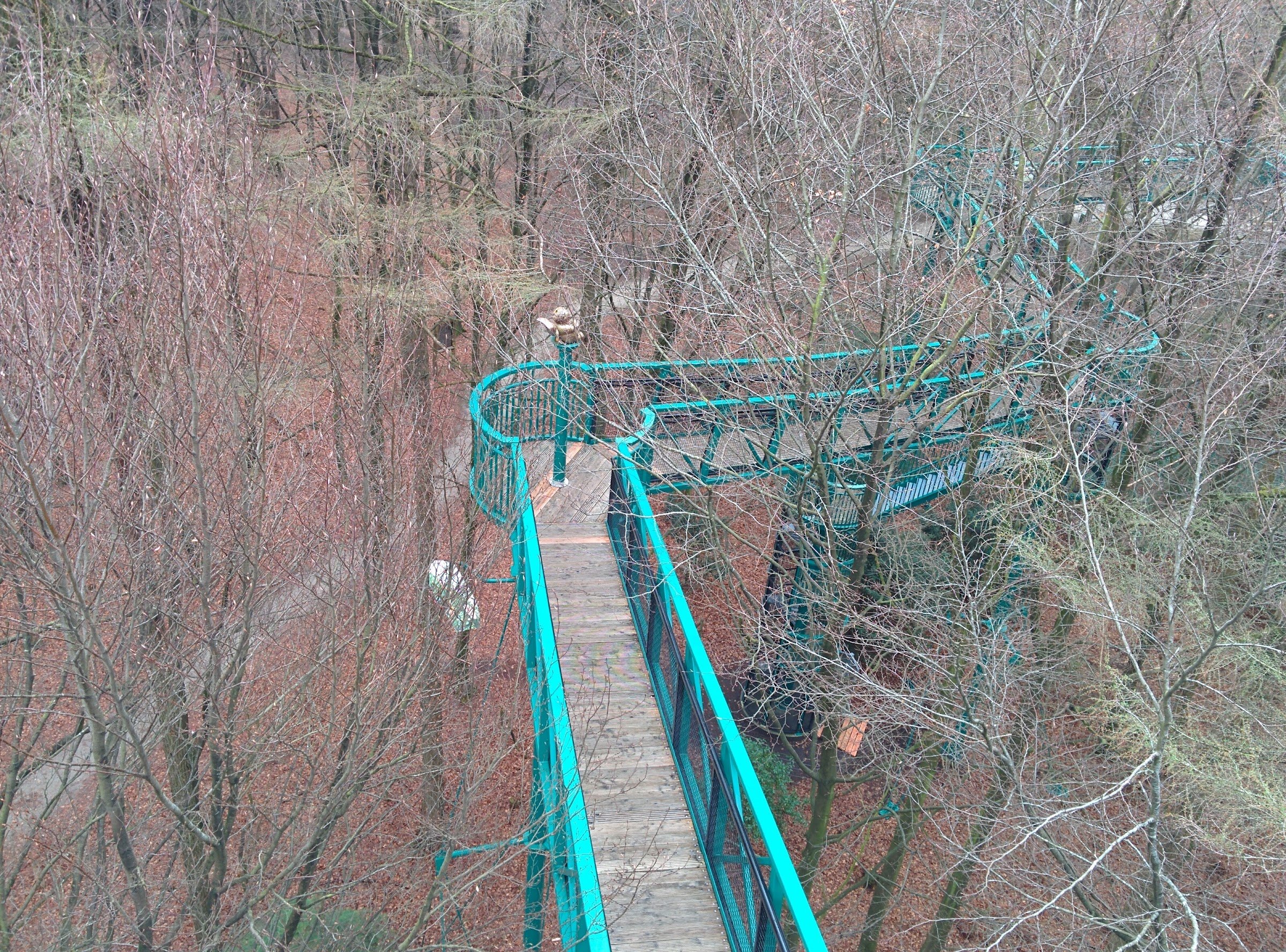 Outdoor Center Boomkroonpad (Boomkroonpad treetop walkway)